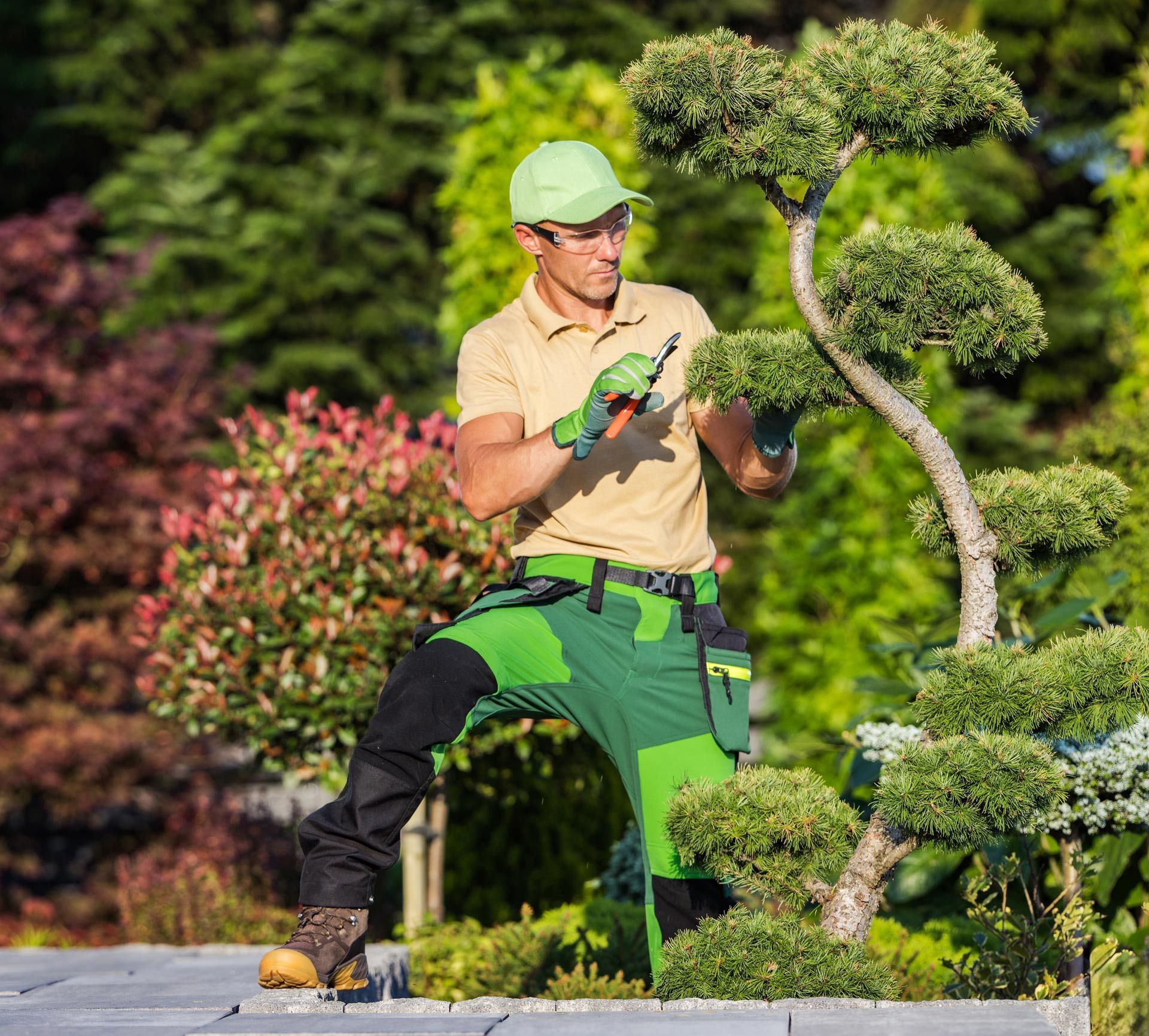 Landscaping professional pruning a tree in a residential site.