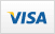 Visa icon