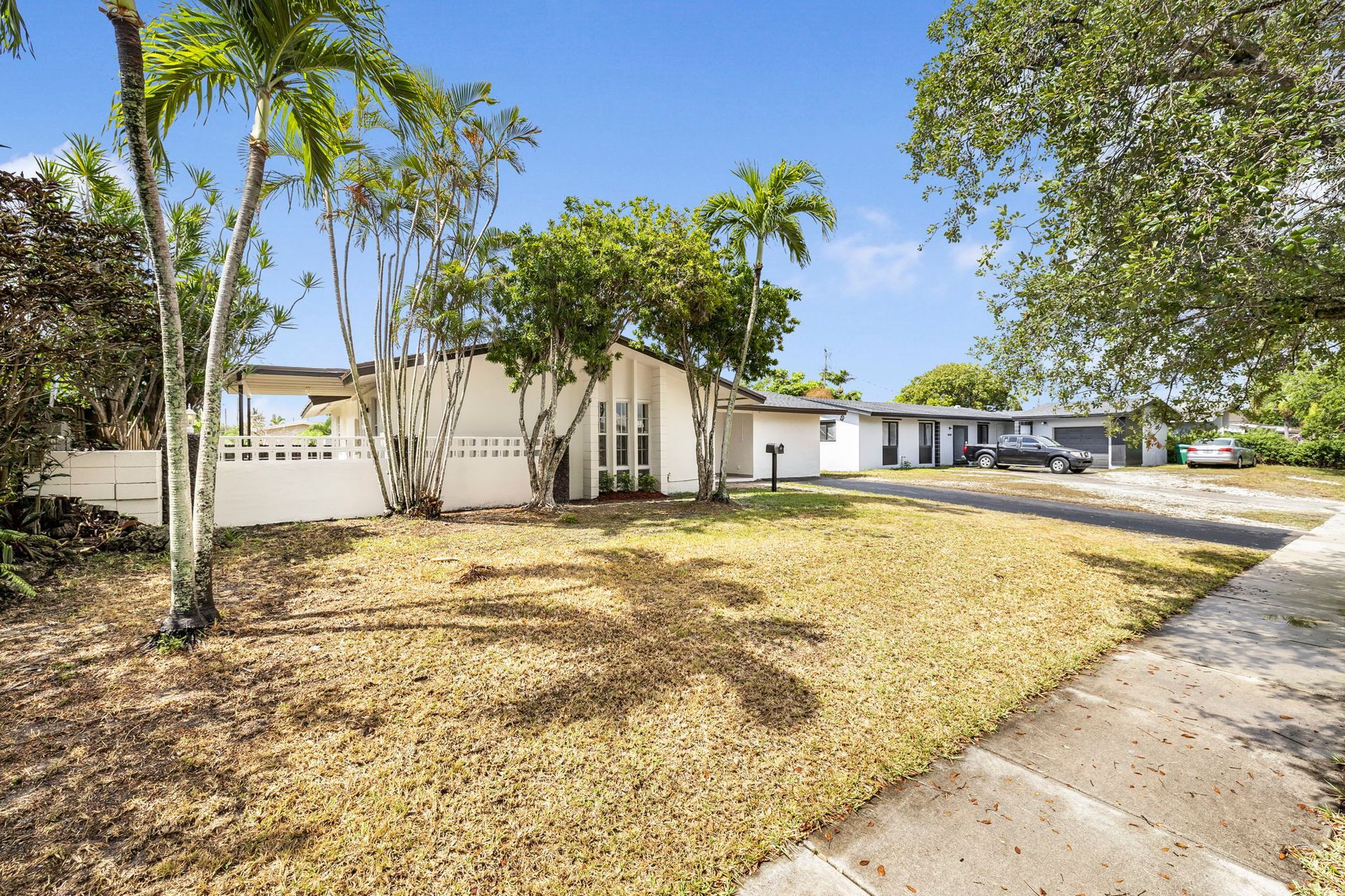 White house with palm trees, brown lawn, clear blue sky, sunny day.