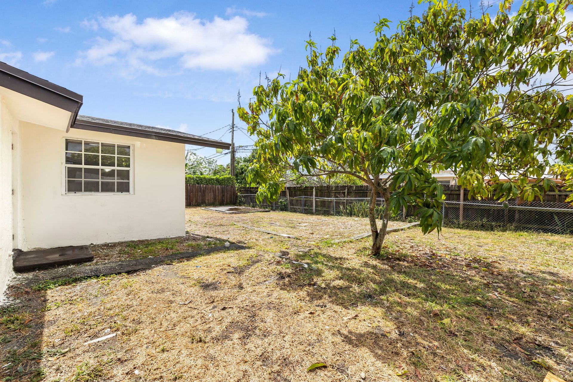 A bare backyard with a small tree next to a white house on a sunny day.