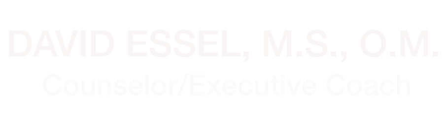 David Essel Logo