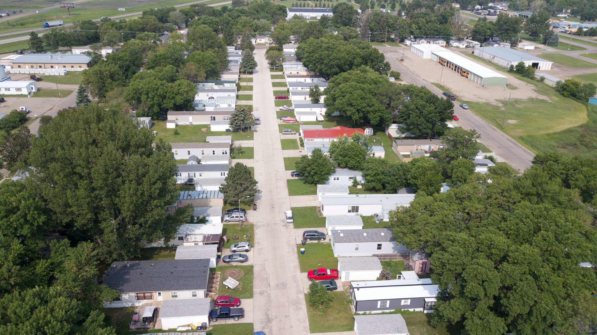 A field of colorful flowers with the sun shining through the clouds.