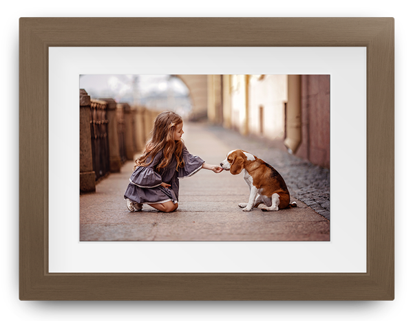 Child kneels on a street, offering a hand to a small dog, framed in a wooden photo frame.