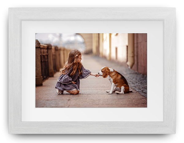 Girl kneeling to offer a treat to a sitting dog on a sunlit street