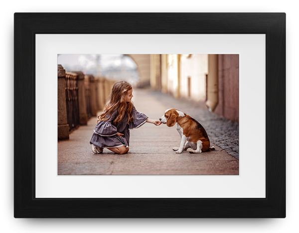 Girl kneels in a sunlit alley, offering a treat to a small dog framed on a wall.