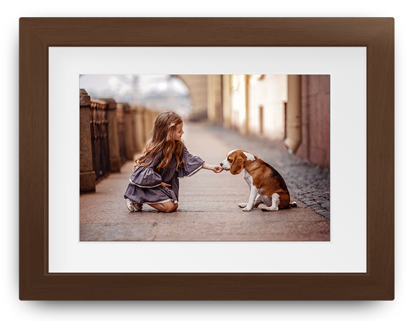Girl kneels on a street, offering a treat to a seated brown-and-white puppy in warm sunlight.