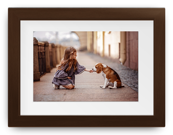 Young girl kneels on a street, offering a treat to a brown-and-white dog in a sunlit alley.