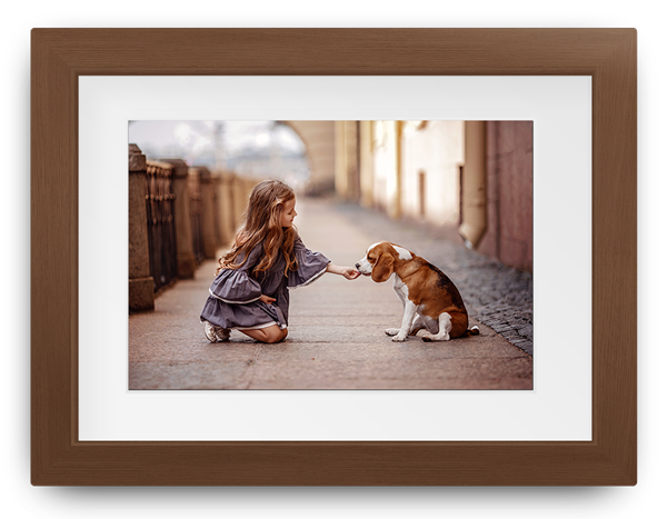 Girl kneeling on a street reaches toward a small brown dog in a sunlit alley