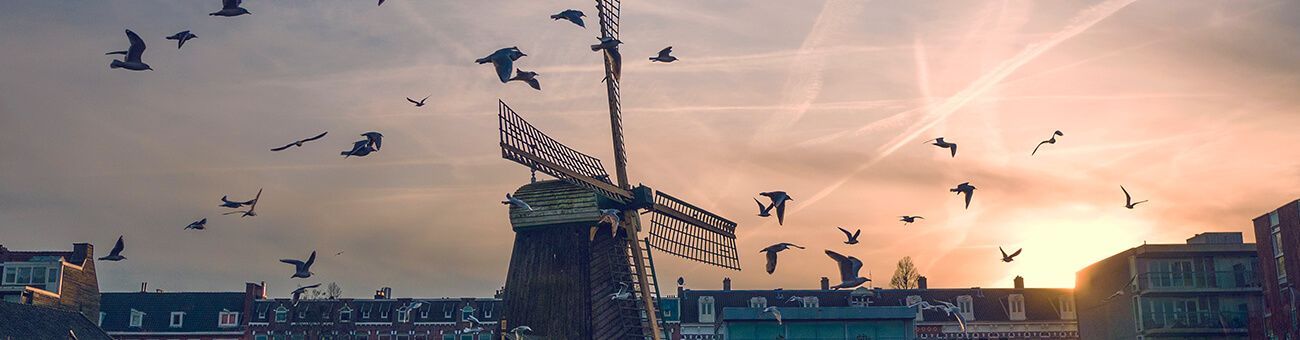 Silhouetted birds flying over a city skyline at sunset, with a rooftop structure in the foreground
