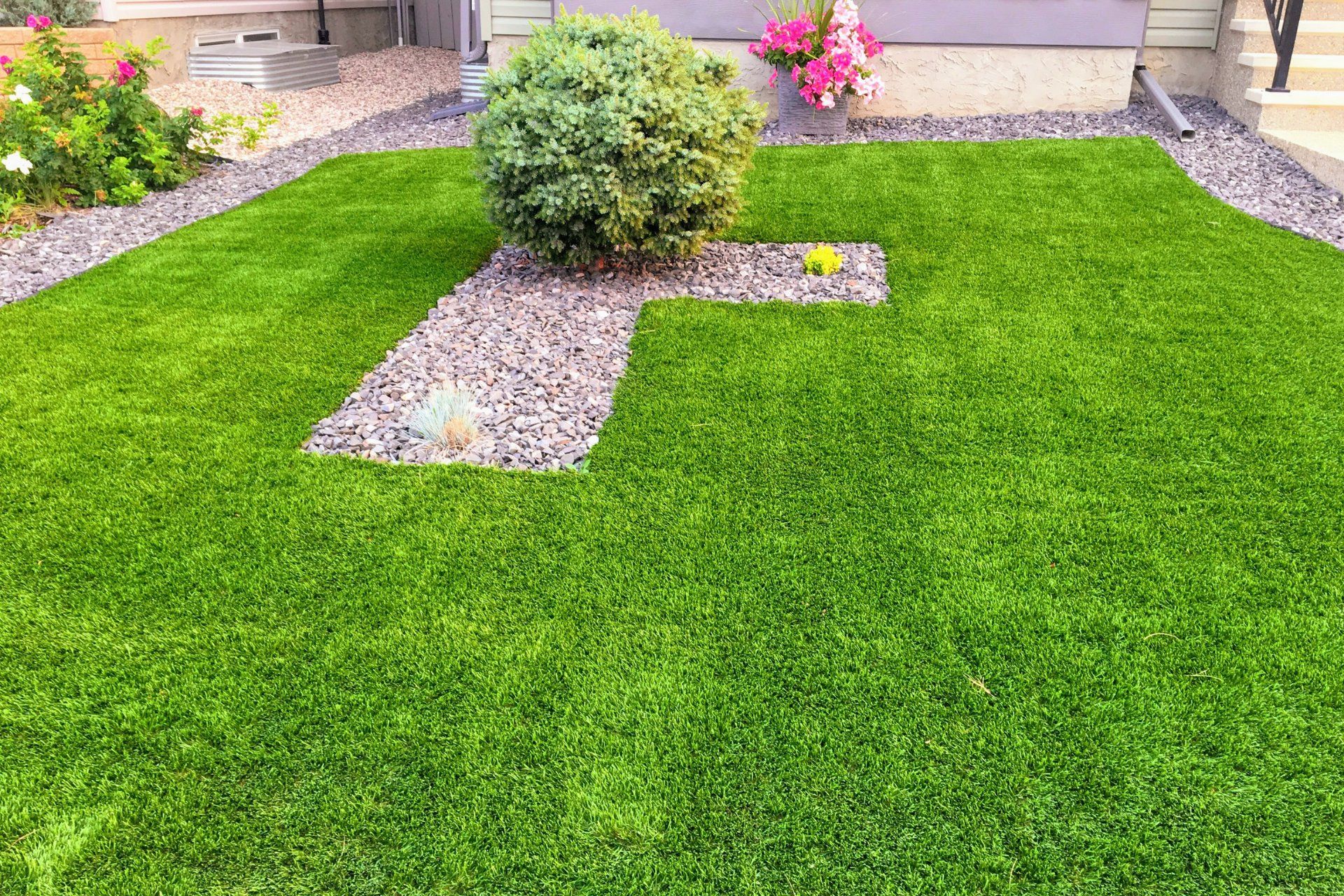 green lawn