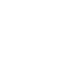 energy star logo