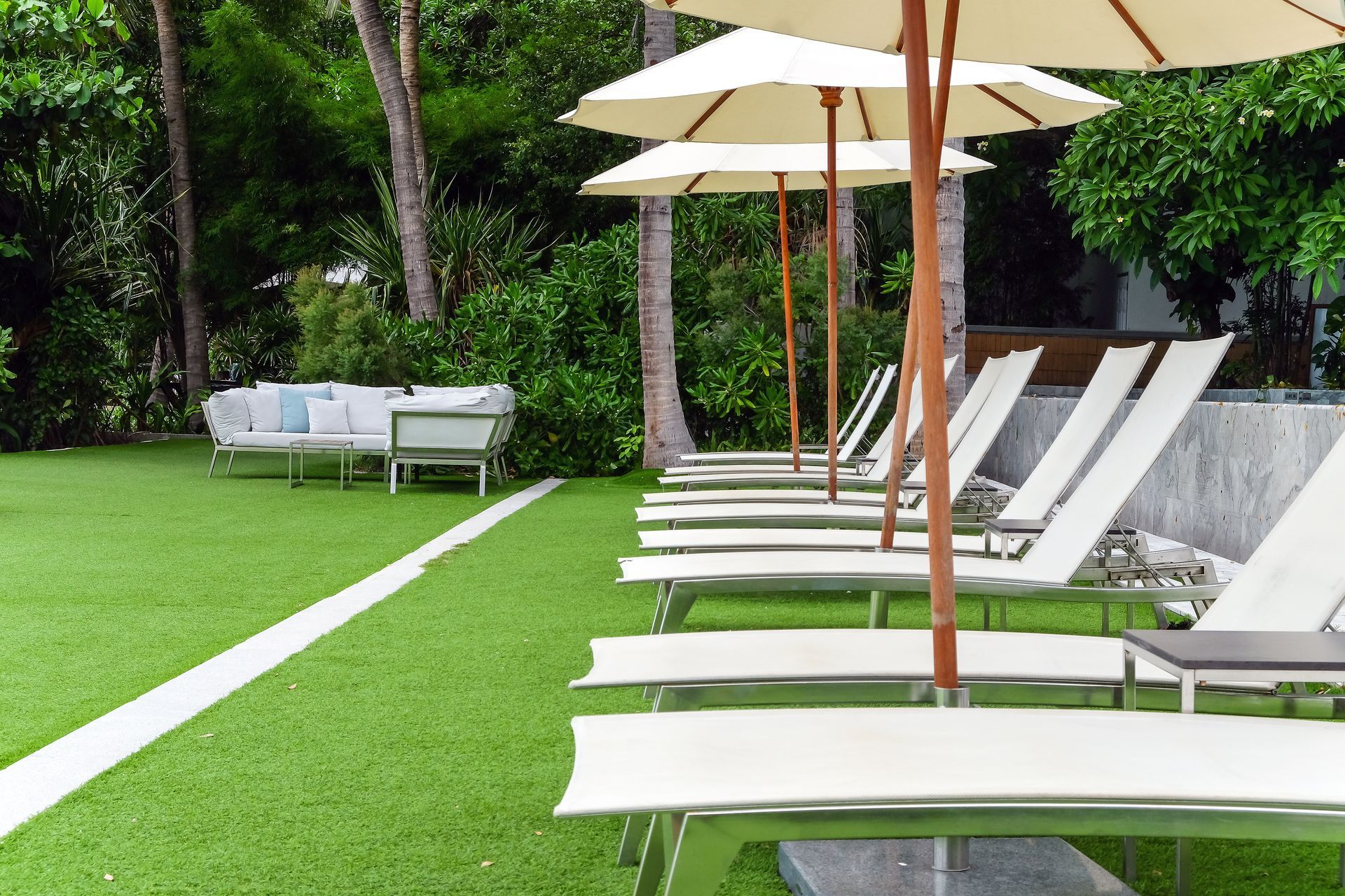 A row of lounge chairs and umbrellas on a lush green lawn.