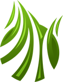 A green leaf with a white stripe on it