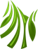 A green leaf with a white stripe on it
