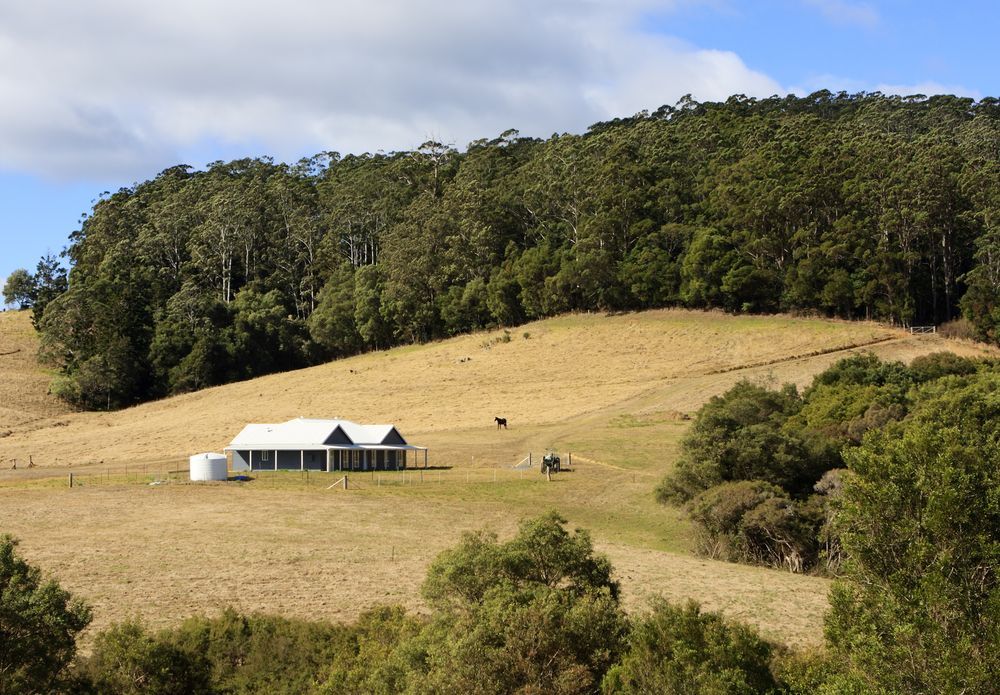 River Flows Past Grassy Banks and Hills — Macca's Dynamic Earthworks in Tolga, QLD