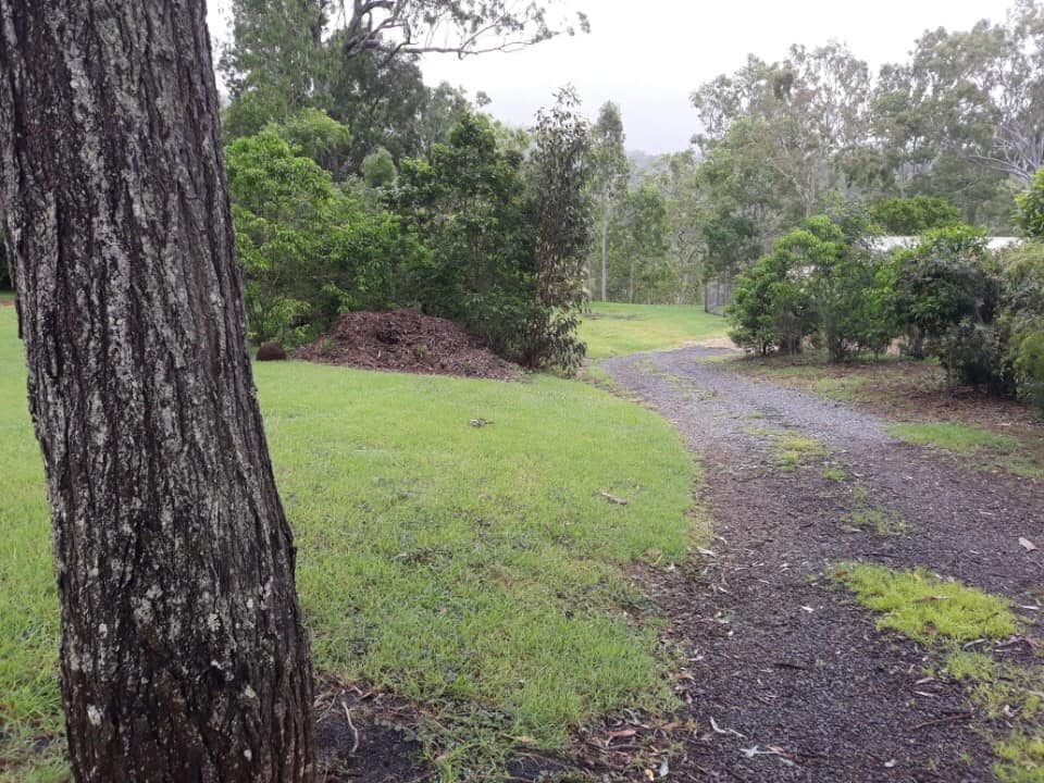 A Dirt Driveway Curves Through Green Grass and Trees — Macca's Dynamic Earthworks in Tolga, QLD