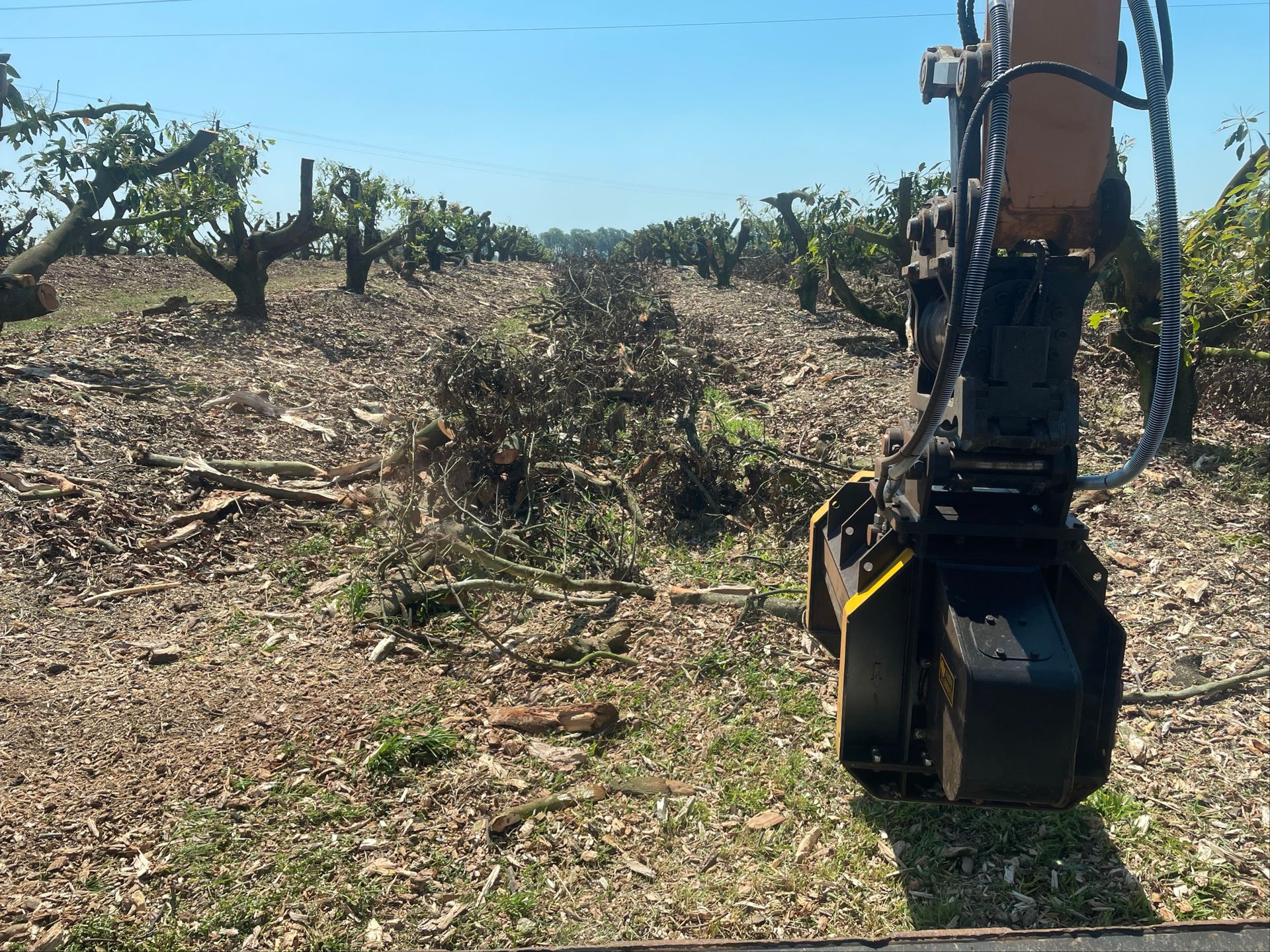 A Red Tractor Sits Near a River Bank — Macca's Dynamic Earthworks in Tolga, QLD