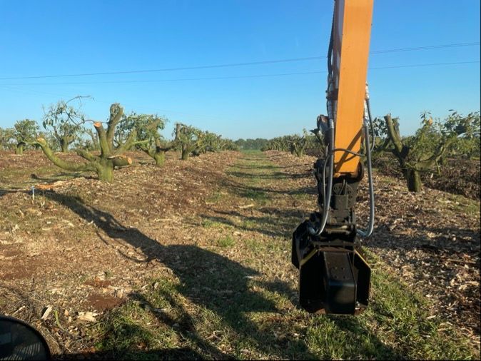 River Flows Past Grassy Banks and Hills — Macca's Dynamic Earthworks in Tolga, QLD