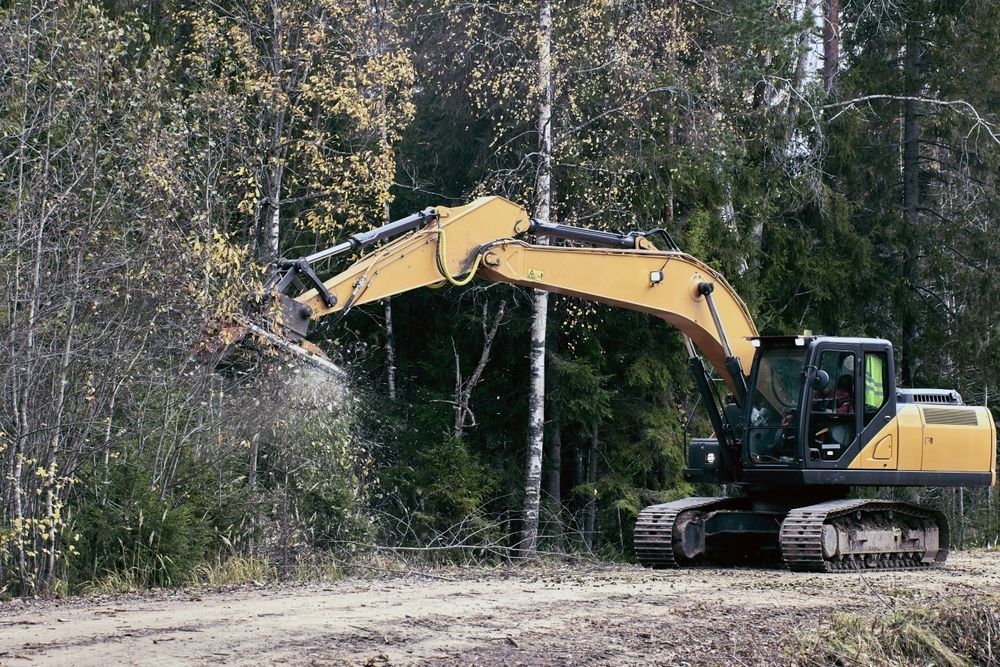 Yellow Excavator Clearing Brush on a Wooded Roadside — Macca's Dynamic Earthworks in Tolga, QLD