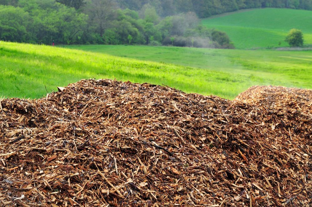 Pile of Wood Chips in Front of a Green Field and Trees — Macca's Dynamic Earthworks in Tolga, QLD