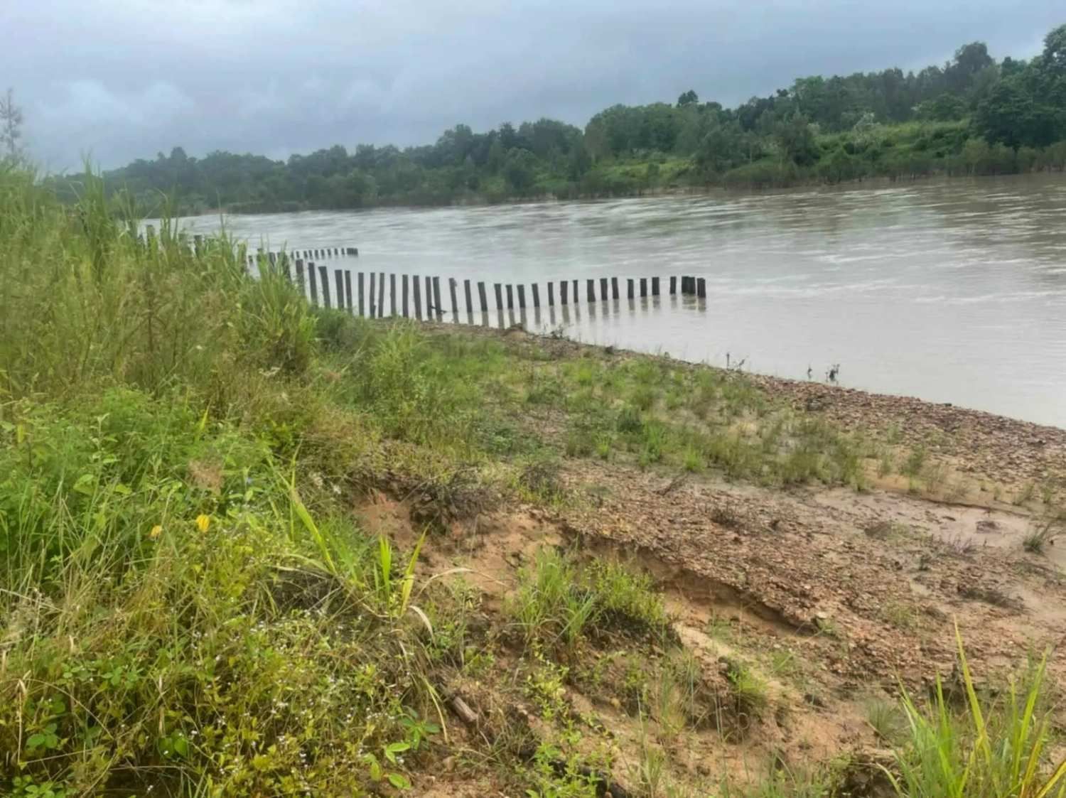 Muddy Riverbank with Weathered Wooden Pilings in The Water — Macca's Dynamic Earthworks in Tolga, QLD