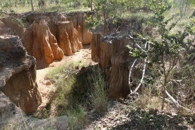 Erosion Carved Canyon of Layered — Macca's Dynamic Earthworks in Tolga, QLD