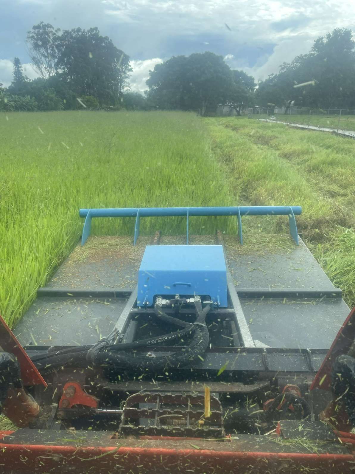 A Combine Harvester Cutting Rice in A Green Field — Macca's Dynamic Earthworks in Tolga, QLD