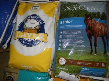 horse food