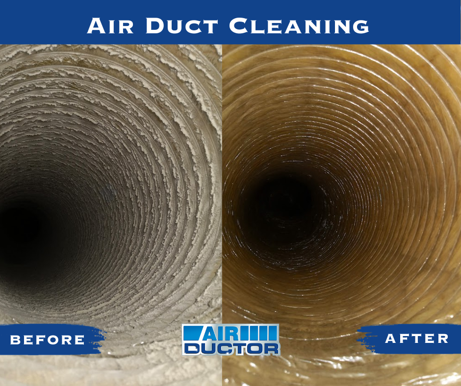 Man Checking On Ceiling — Crown Point, IN — Air Ductor Inc.