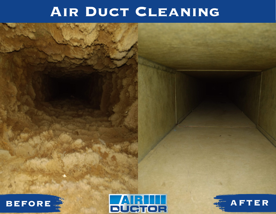 Dirty Air Ducts Cleaned by Air Ductor in Crown Point, IN