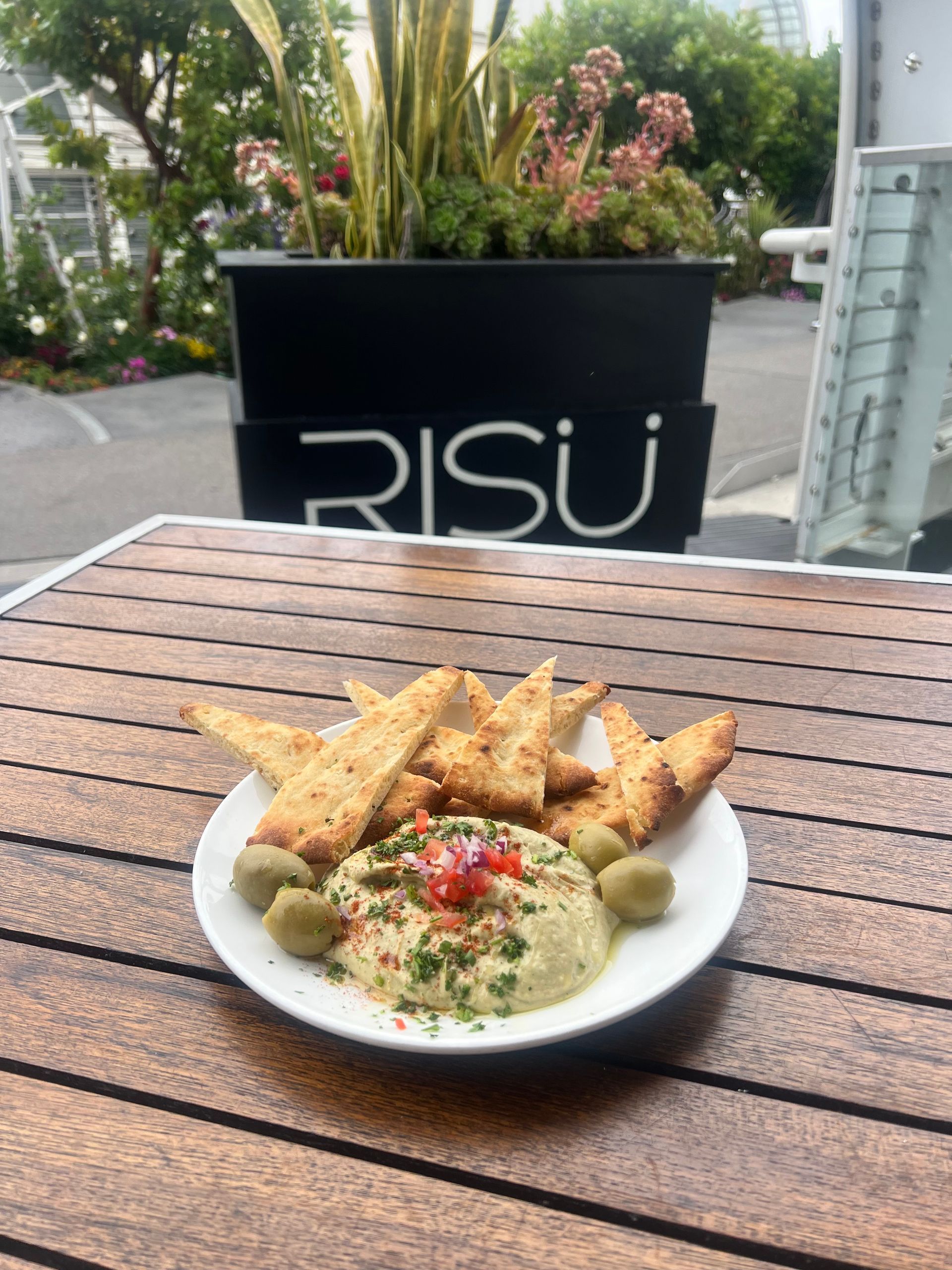 Plate of hummus with toasted bread on a wooden table, with a RISU planter in the background