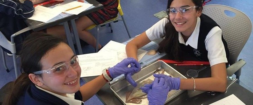 Two girls are sitting at a table in a classroom looking at a fish.