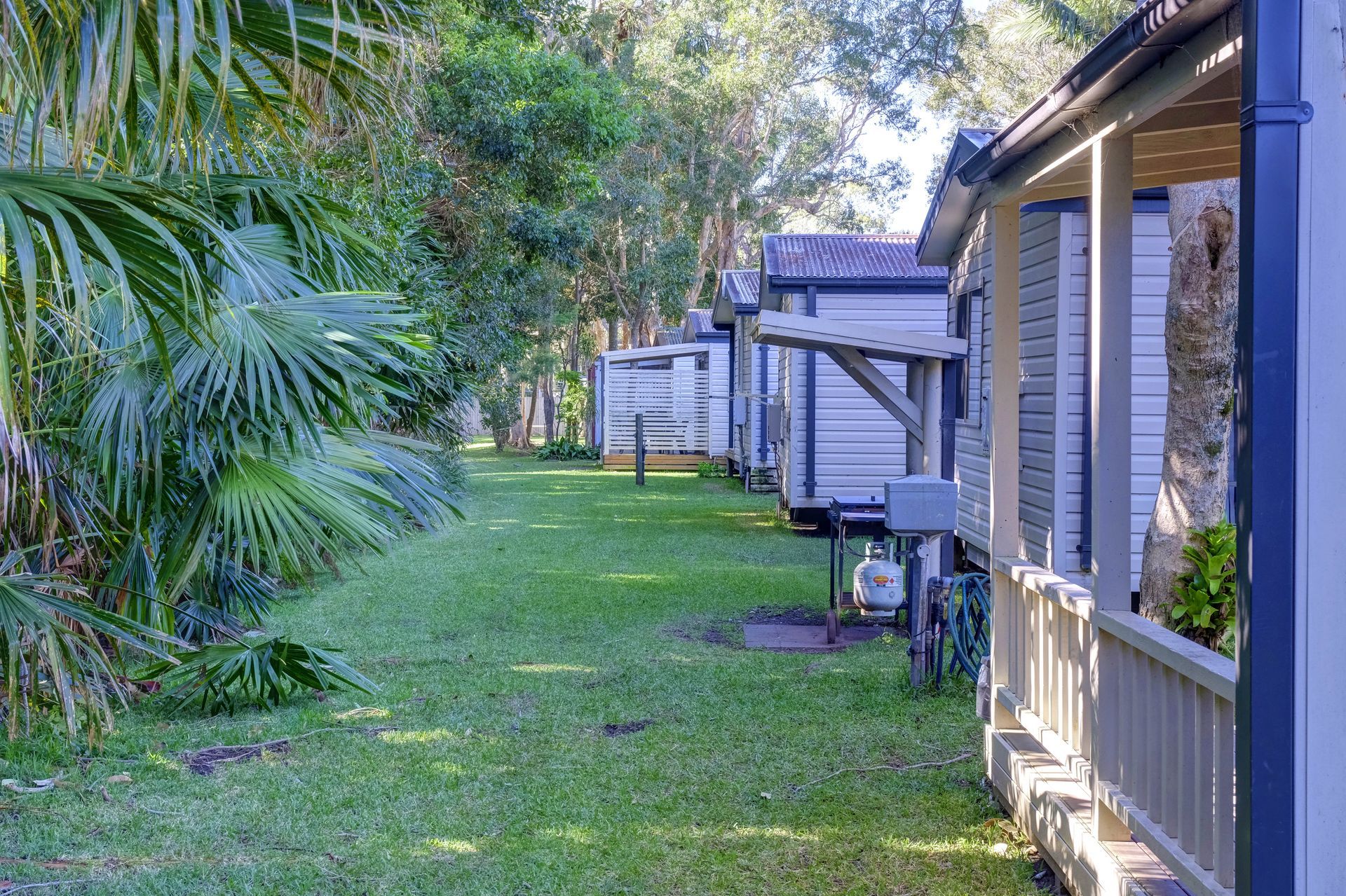 Row of small, white wooden cottages with porches, set on a grassy lawn with trees and foliage.— Pacific Palms Caravan Park in Elizabeth Beach, NSW