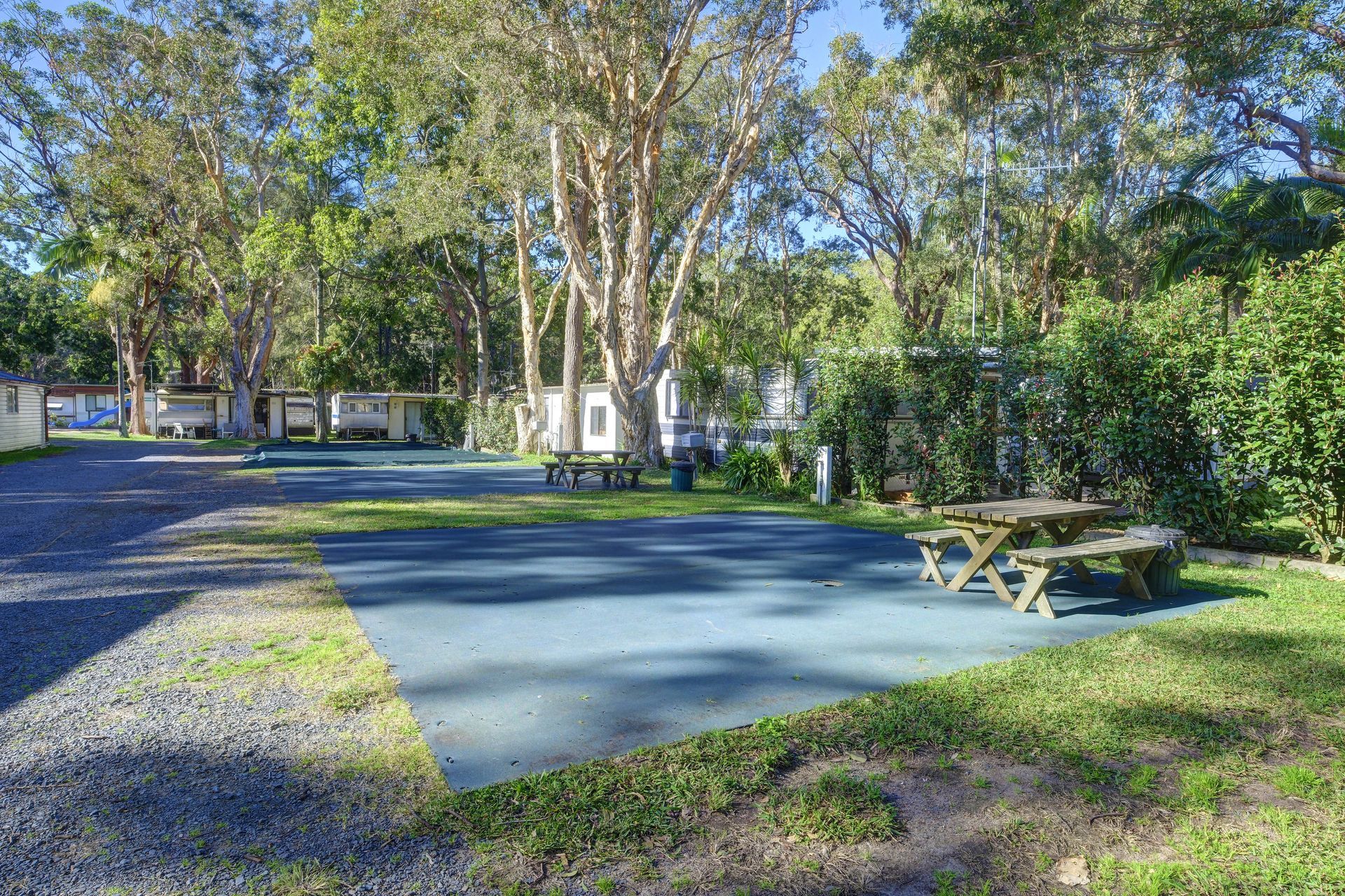 Campground With Picnic Table on Blue-painted Surface, Surrounded by Trees — Pacific Palms Caravan Park in Elizabeth Beach, NSW