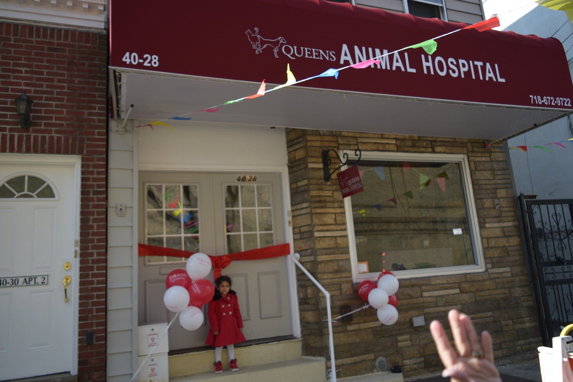 Best Veterinarian in Queens, New YorkQueens Animal Hospital