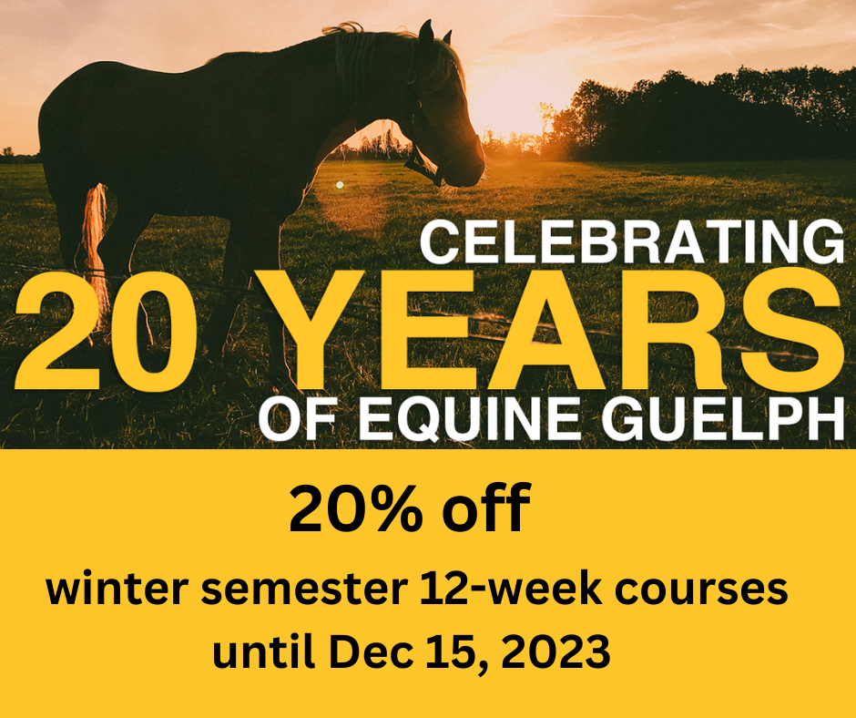 A poster that says celebrating 20 years of equine guelph