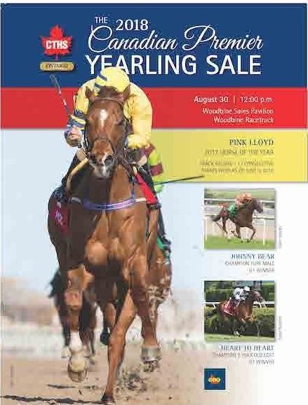 A poster for the canadian premier yearling sale with a jockey riding a horse.