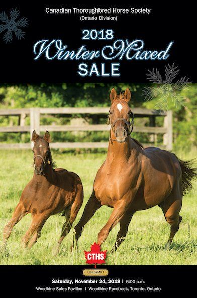 A poster for the canadian thoroughbred horse society 's winter mixed sale