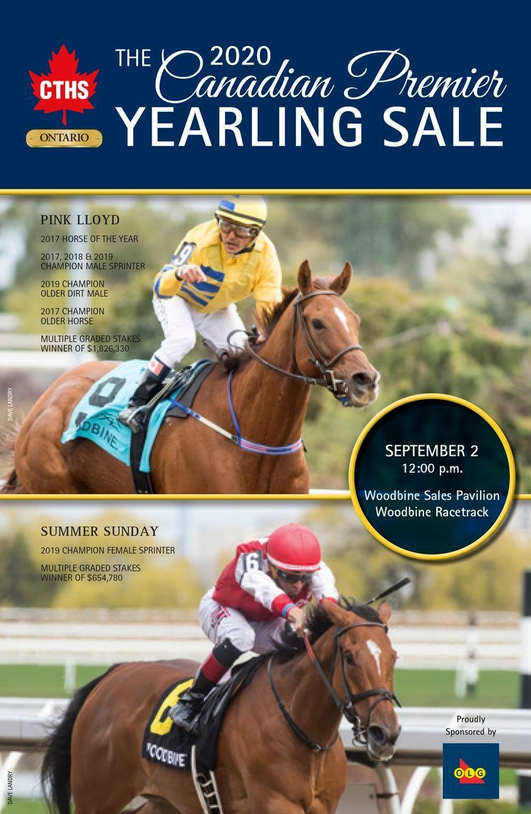 A poster for the canadian premier yearling sale with a jockey riding a horse.