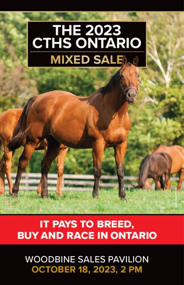 A poster for a canadian premier yearling sale.