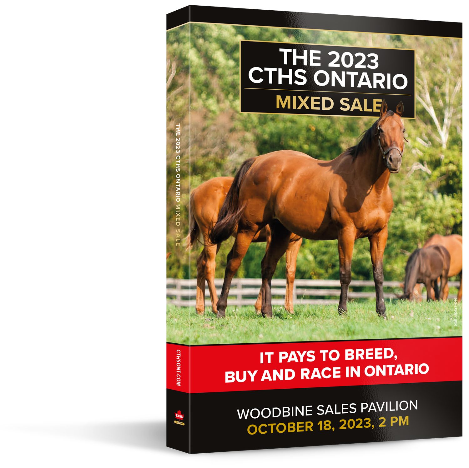 A book titled the 2023 cths ontario mixed sale