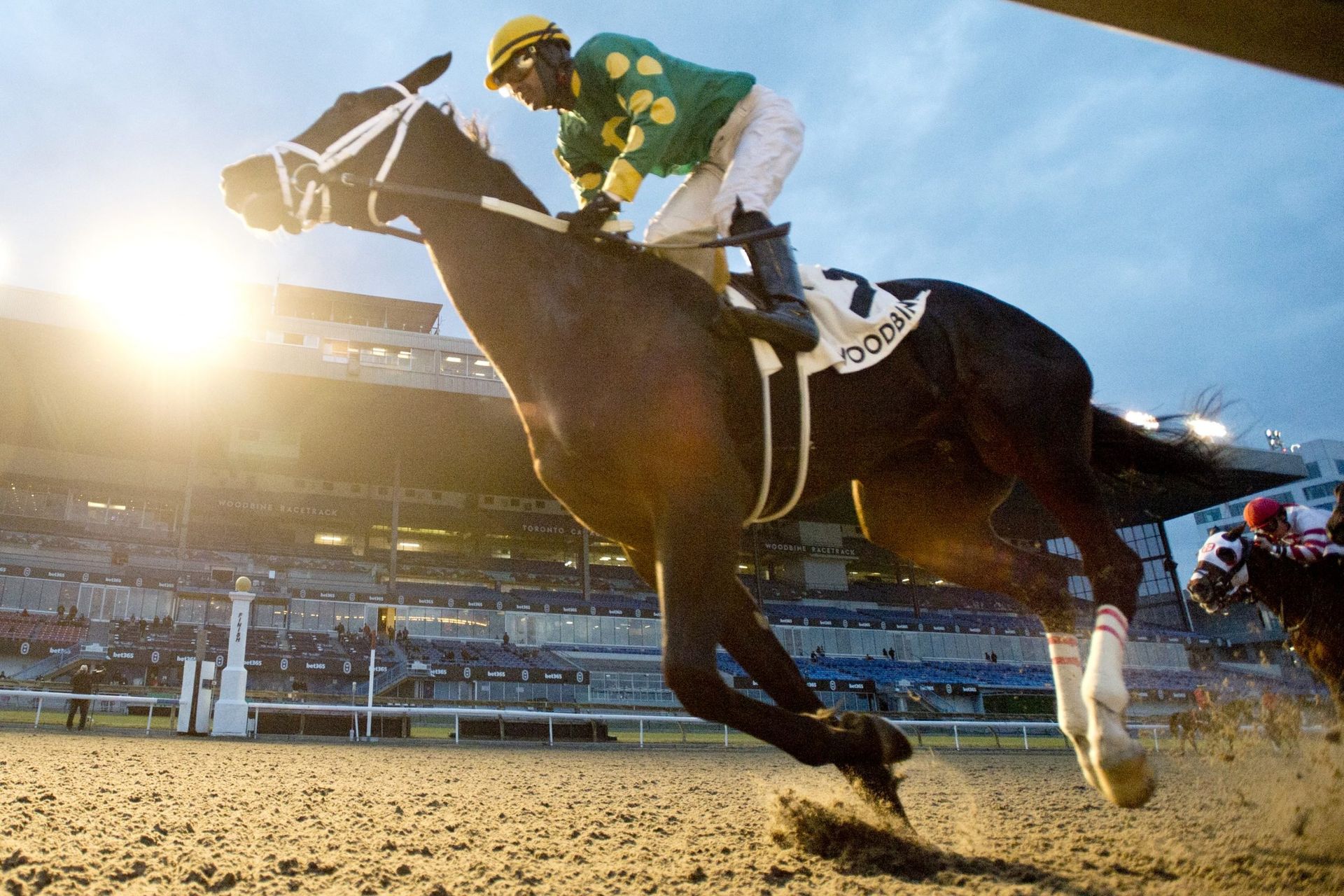 A jockey is riding a horse that has the number 23 on it