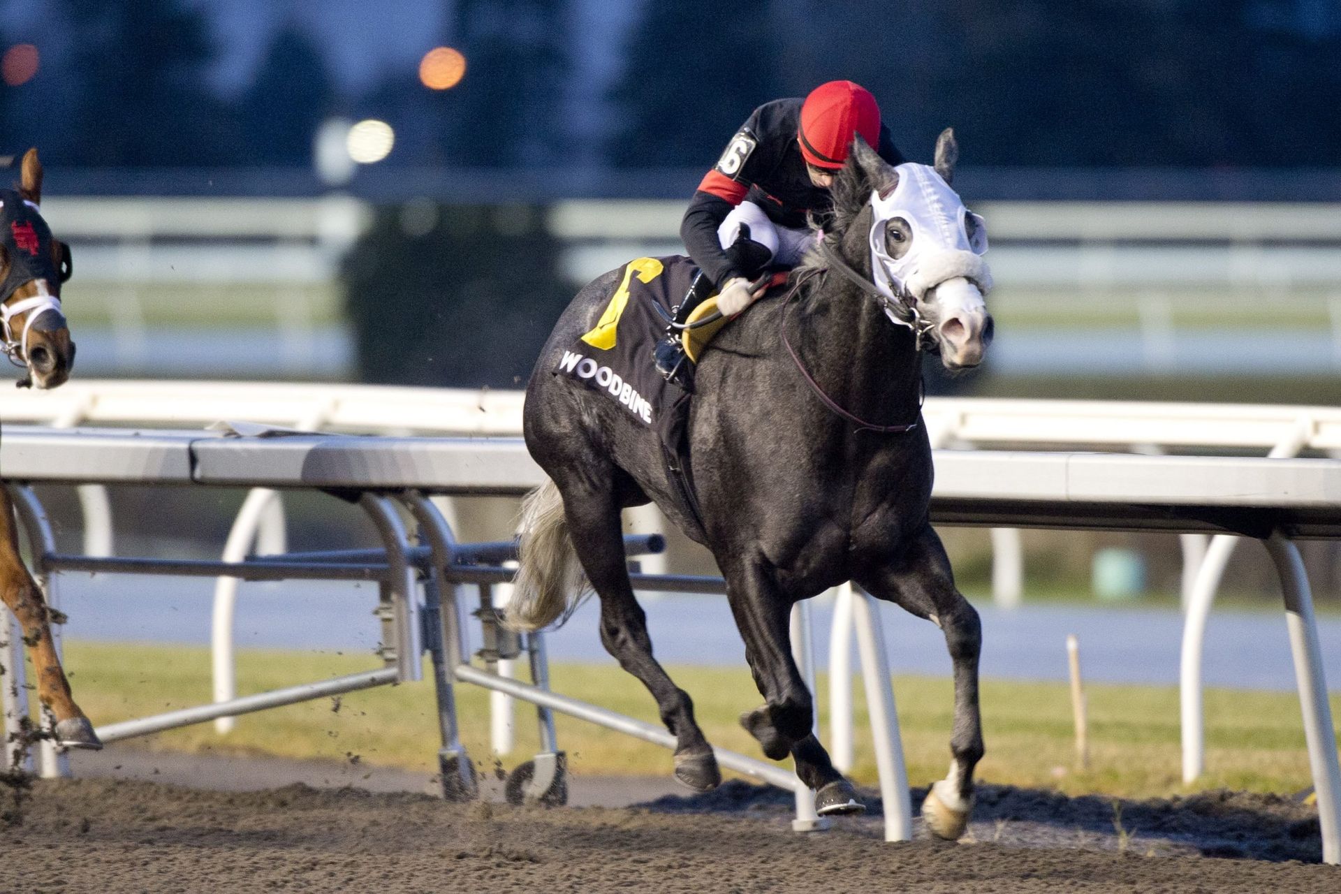 A jockey is riding a black horse on a race track