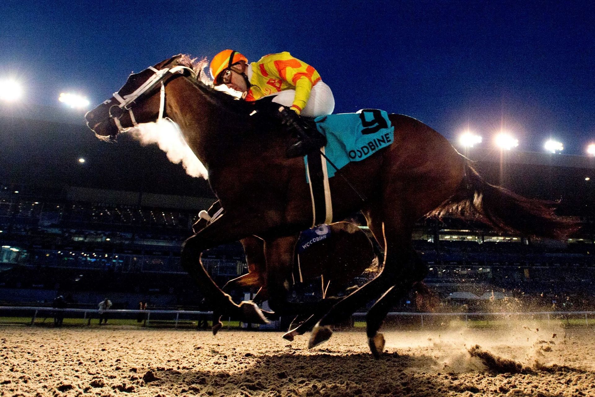 A jockey riding a horse with the number 9 on it