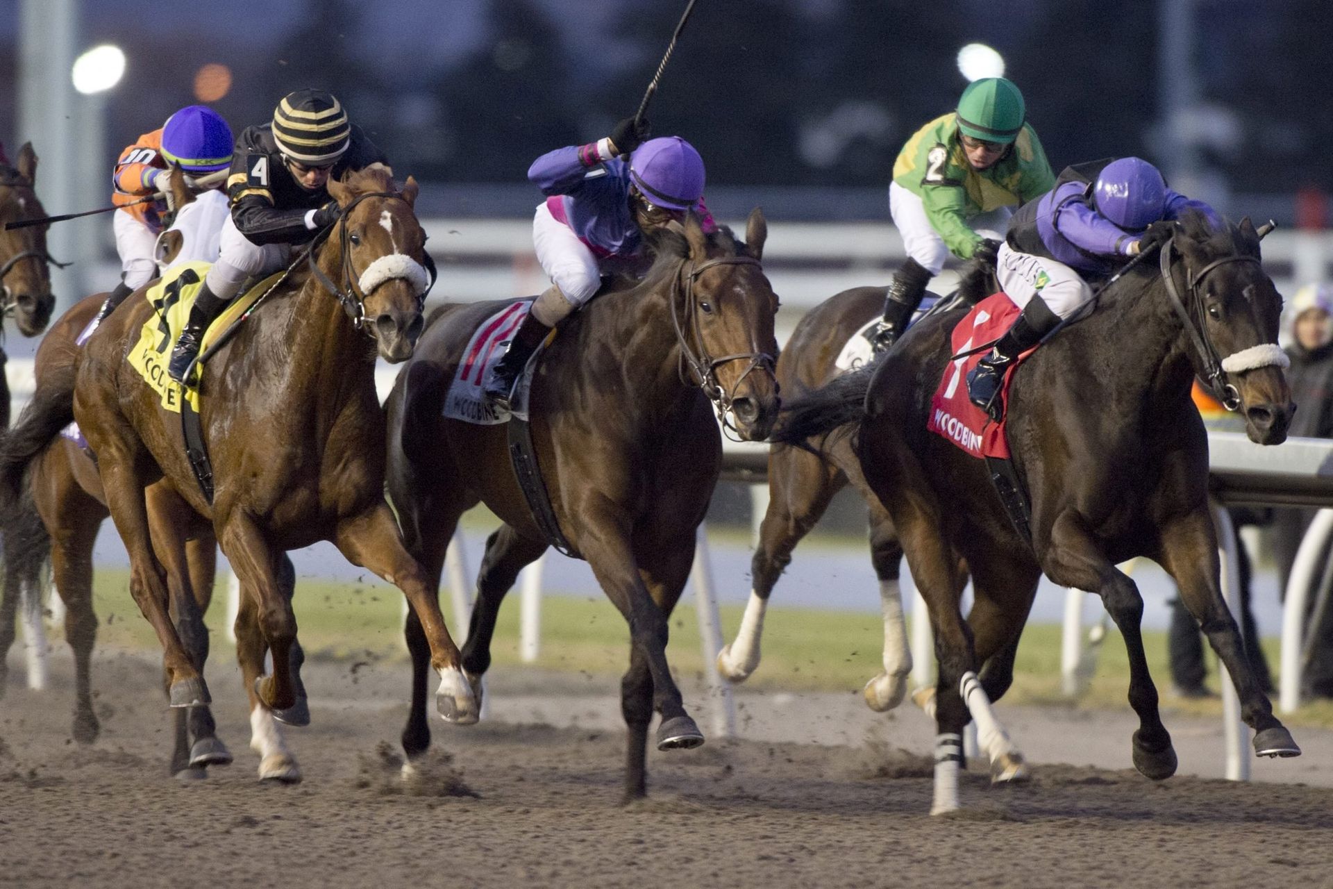 A group of jockeys are racing horses on a track