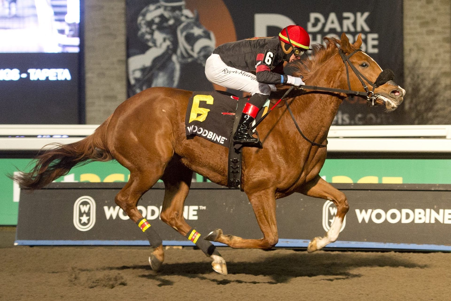 A jockey is riding a horse with the number 6 on it