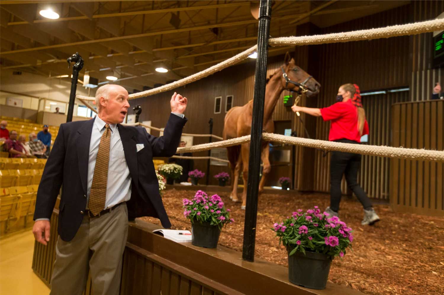 A man in a suit and tie is standing in front of a horse.