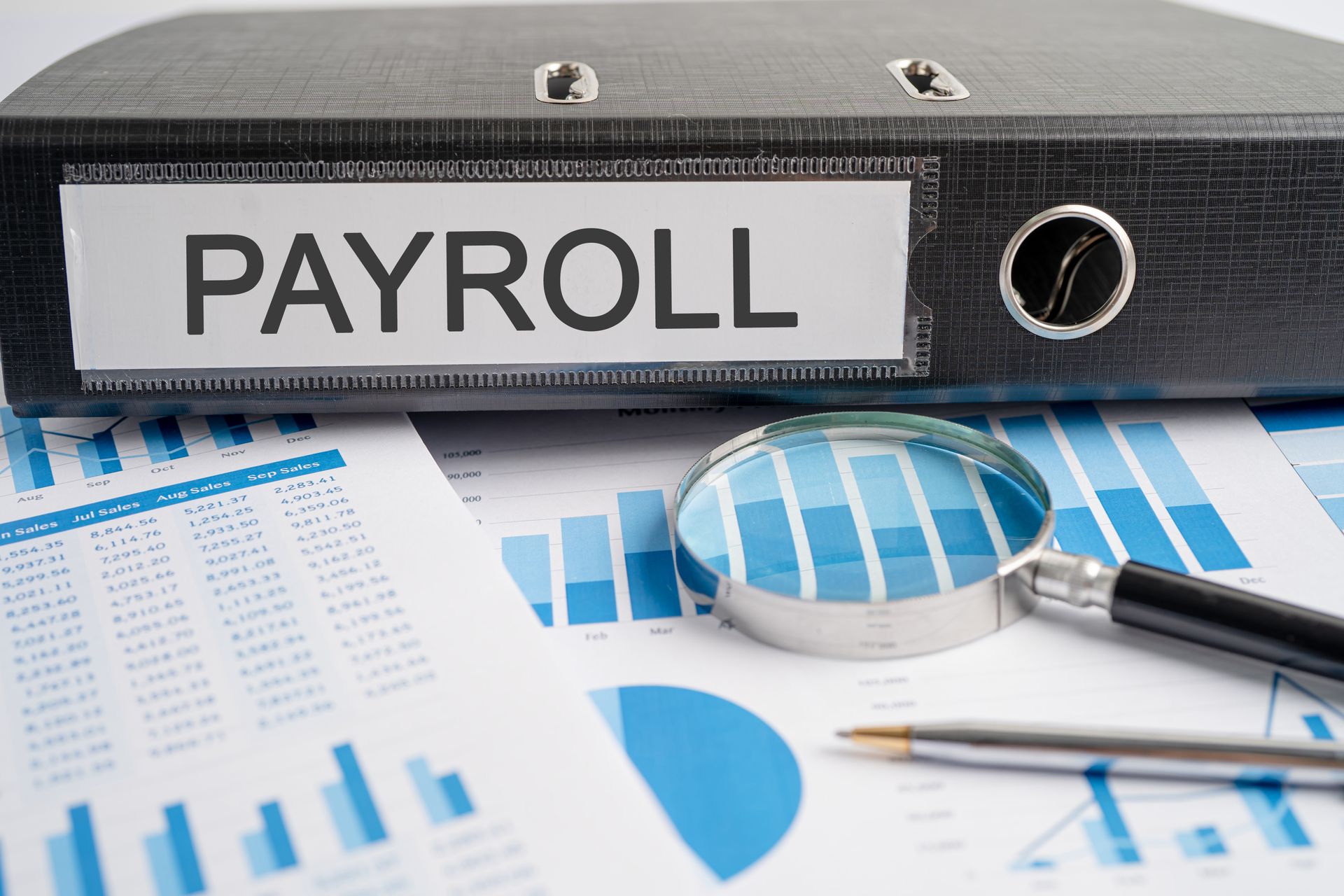 doing payroll support 