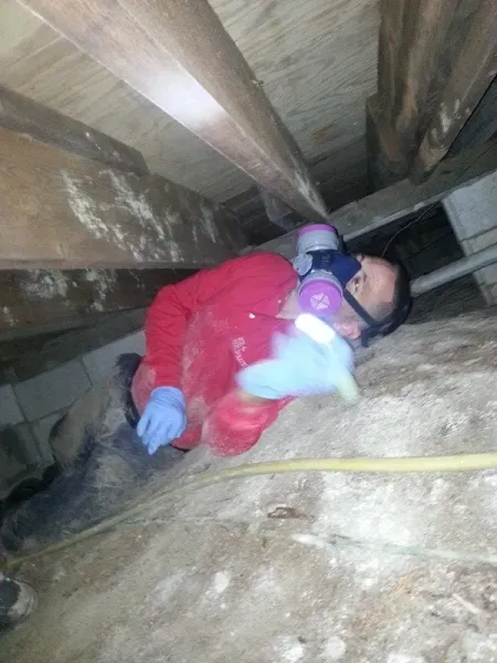 A person in a red shirt and respirator mask works in a dark, cramped crawl space under wooden floor joists.