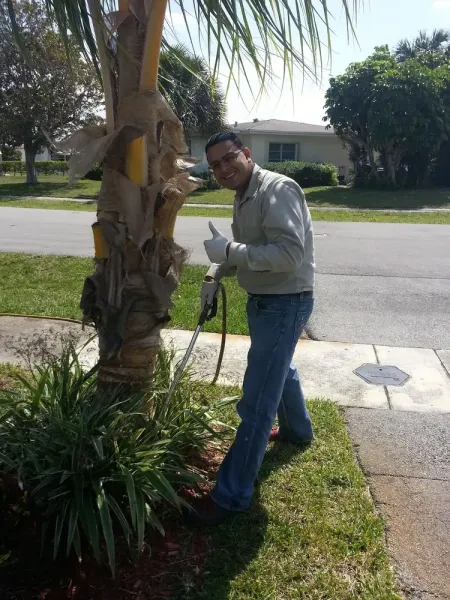 A smiling person in a light shirt and jeans gives a thumbs up while trimming a palm tree in a suburban yard.